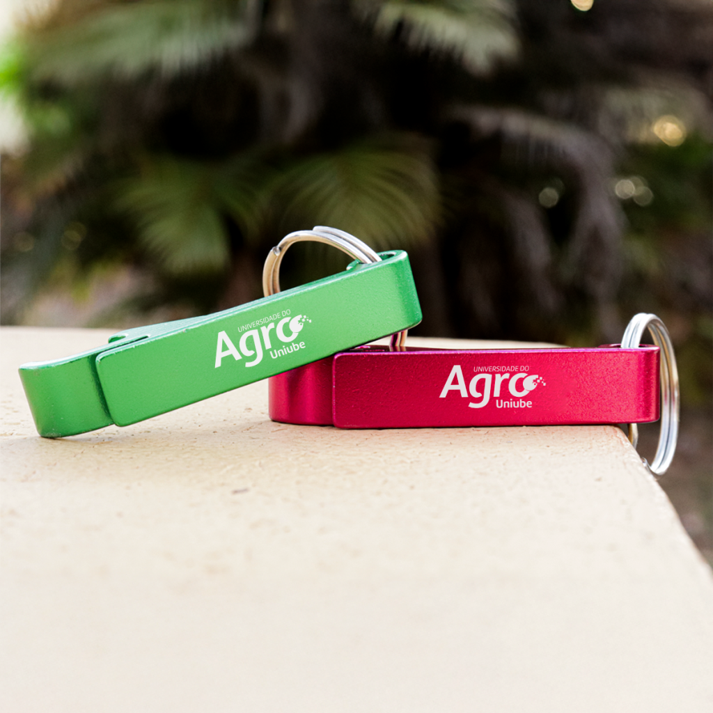 CHAVEIRO UNIVERSIDADE DO AGRO